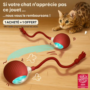 🐾 MagicBall ® | La balle interactive qui occupe et stimule votre compagnon à quatre pattes !