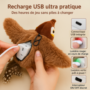 🐦HappyBird ® | Le jouet préféré des félins curieux !